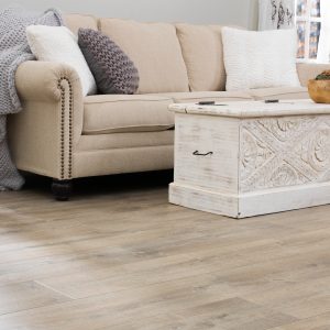 Sofa on Laminate floor | Dalton Wholesale Floors