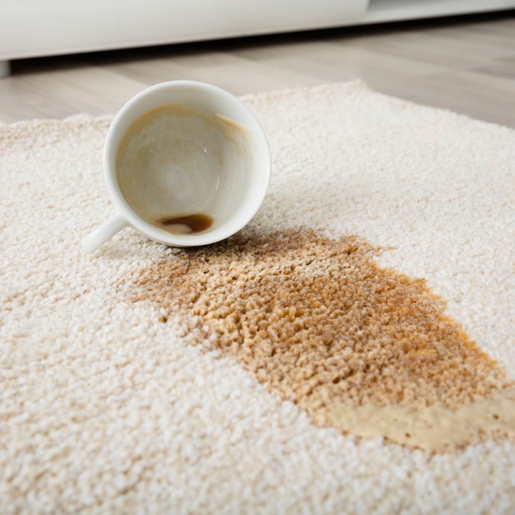 Time for a Professional Rug Cleaning | Dalton Wholesale Floors