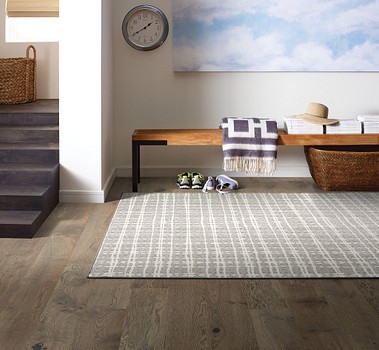 Carpet flooring | Dalton Wholesale Floors