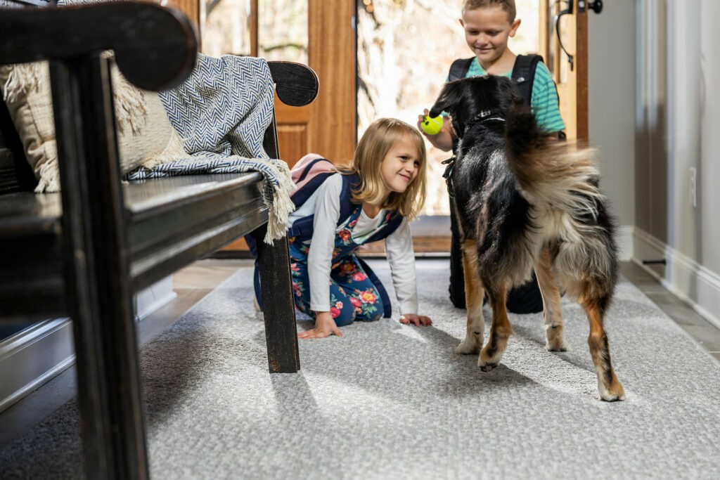 Kids plying with dog on carpet flooring | Dalton Wholesale Floors