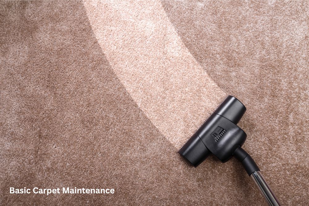 Carpet cleaning | Dalton Wholesale Floors
