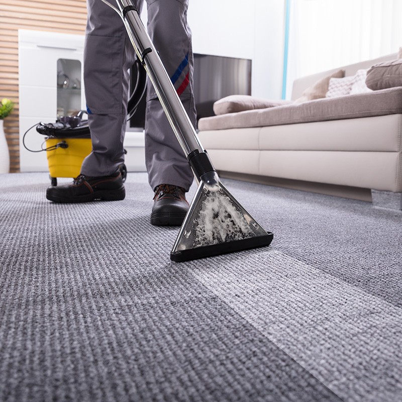 Carpet cleaning | Dalton Wholesale Floors