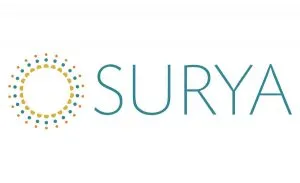 SURYA | Dalton Wholesale Floors